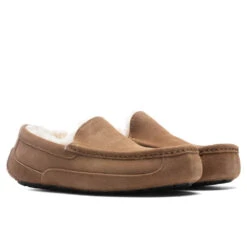 Birkenstock Store -Birkenstock Store UGG Ascot Slipper Chestnut 1101110 CHE 10 30 2021 01 2