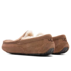 Ugg Ascot Slipper - Chestnut -Birkenstock Store UGG Ascot Slipper Chestnut 1101110 CHE 10 30 2021 01 3