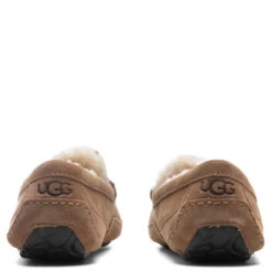 Ugg Ascot Slipper - Chestnut -Birkenstock Store UGG Ascot Slipper Chestnut 1101110 CHE 10 30 2021 01 4