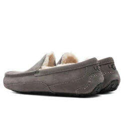 Ugg Ascot Slipper - Grey 8 Ugg Ascot Slipper - Grey -Birkenstock Store UGG Ascot Slipper Grey 1101110 GREY 11 16 2021 01 3